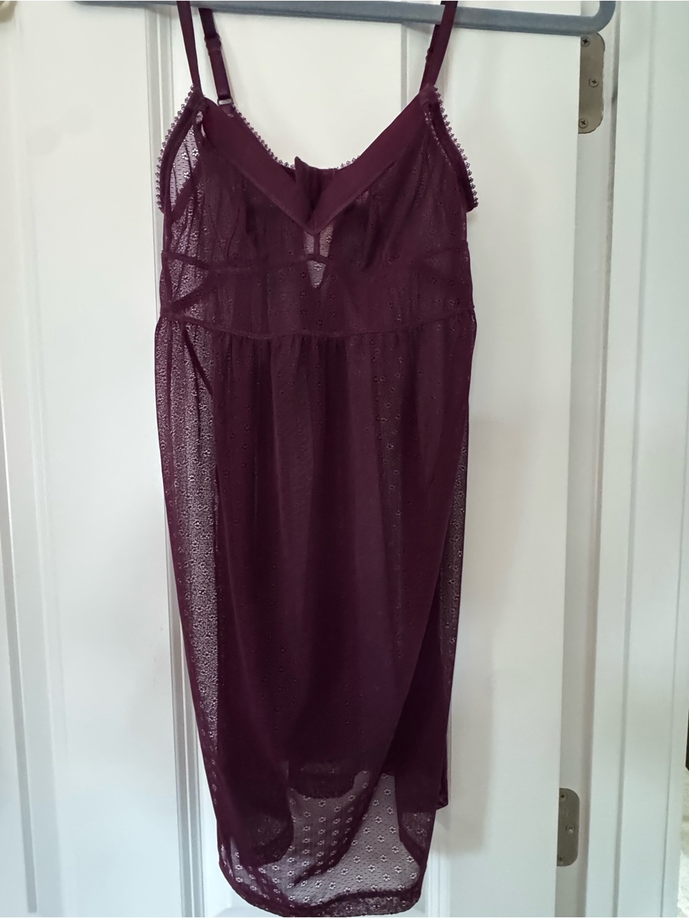 Samantha Chang Burgundy Sheer Lace Slip